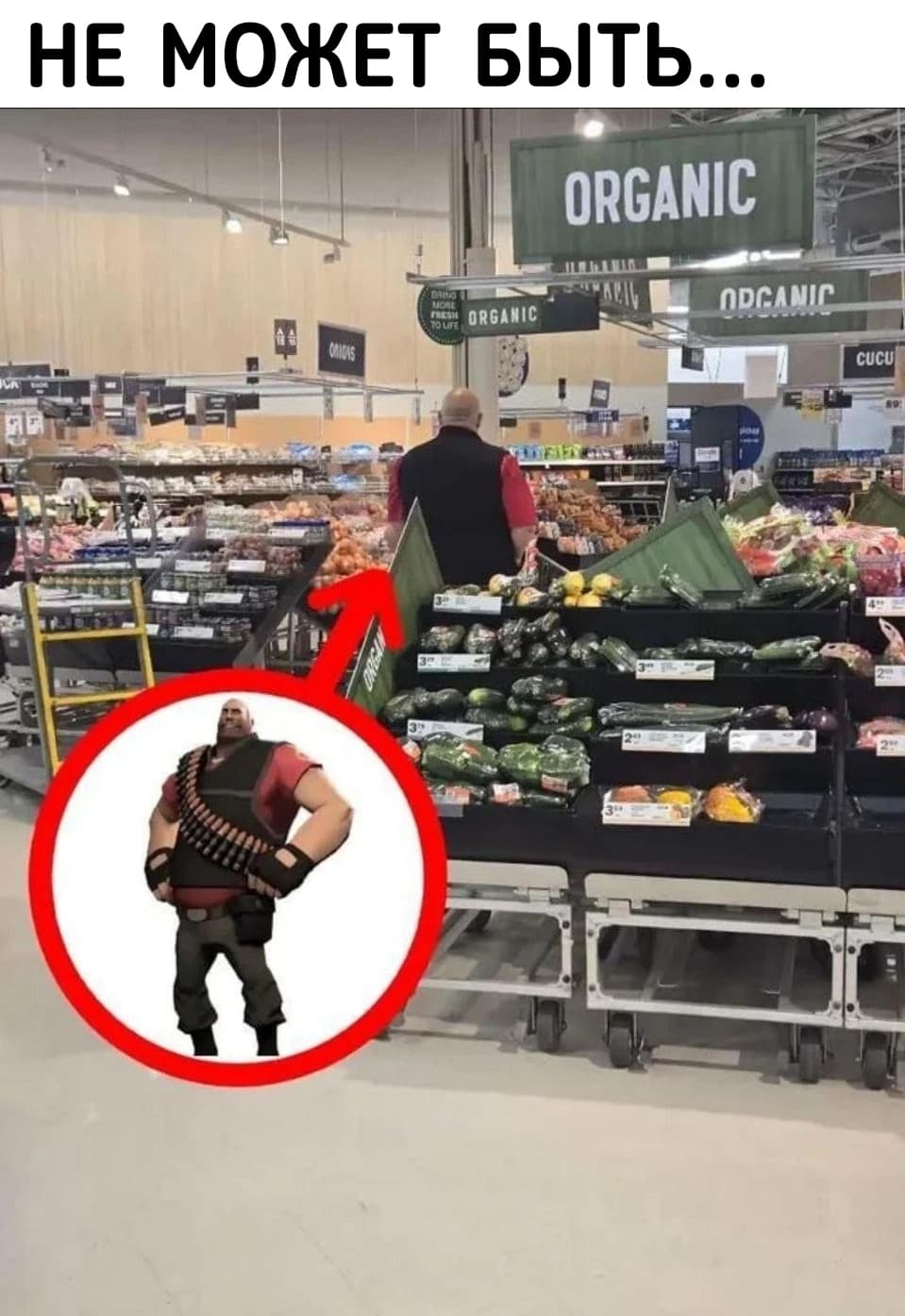 НовыйХолст85В.jpg