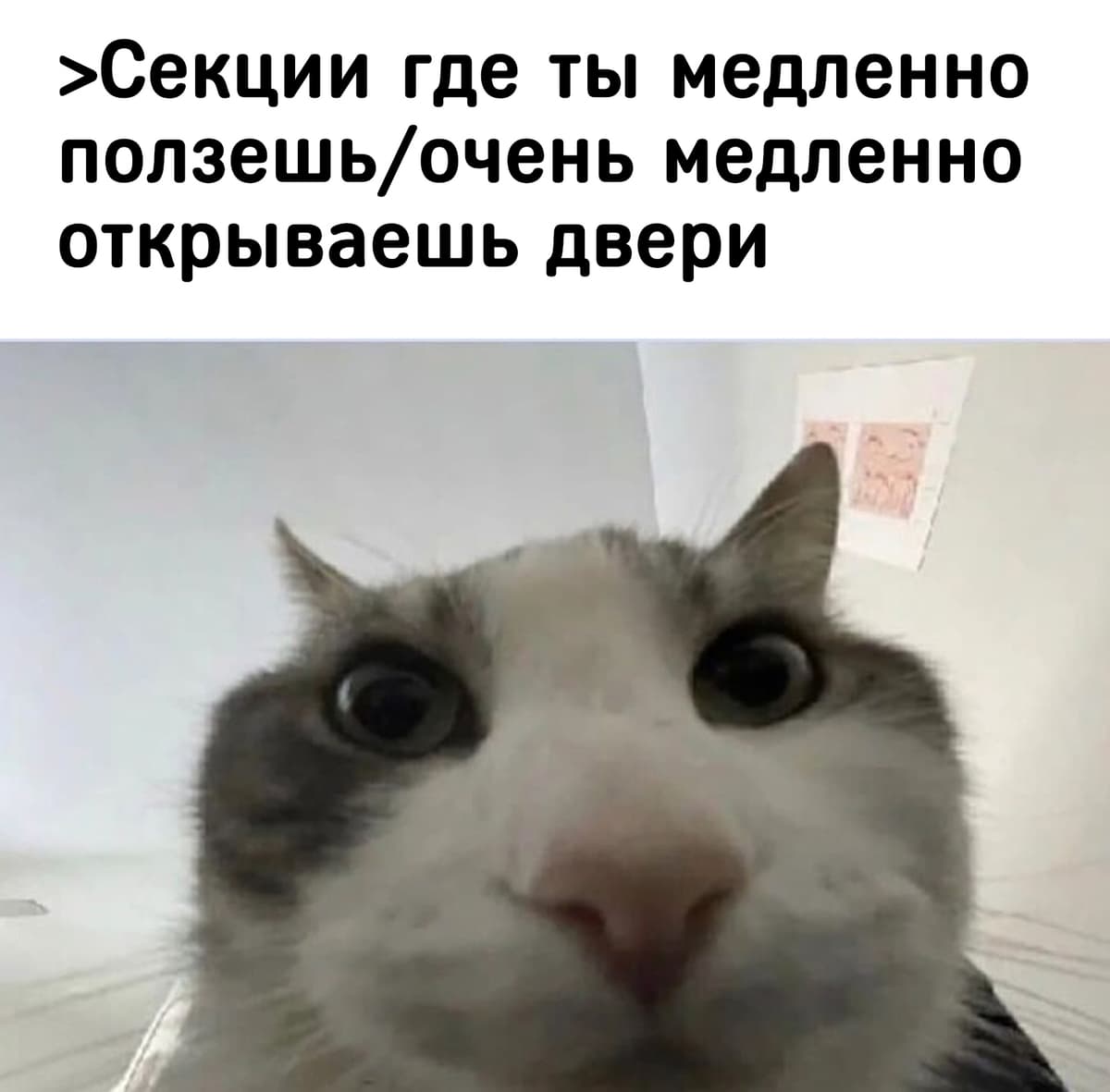НовыйХолст36в11.jpg