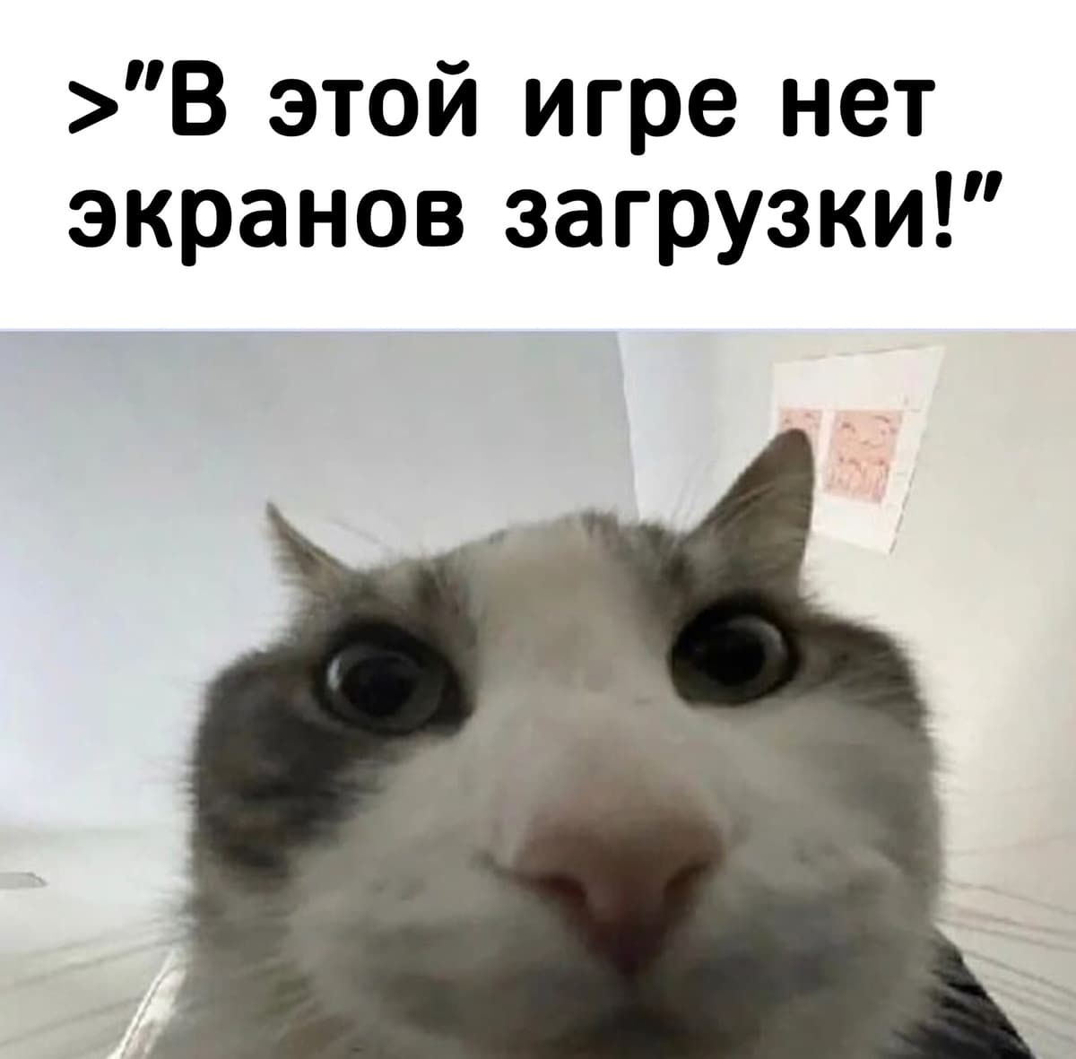 НовыйХолст36в.jpg