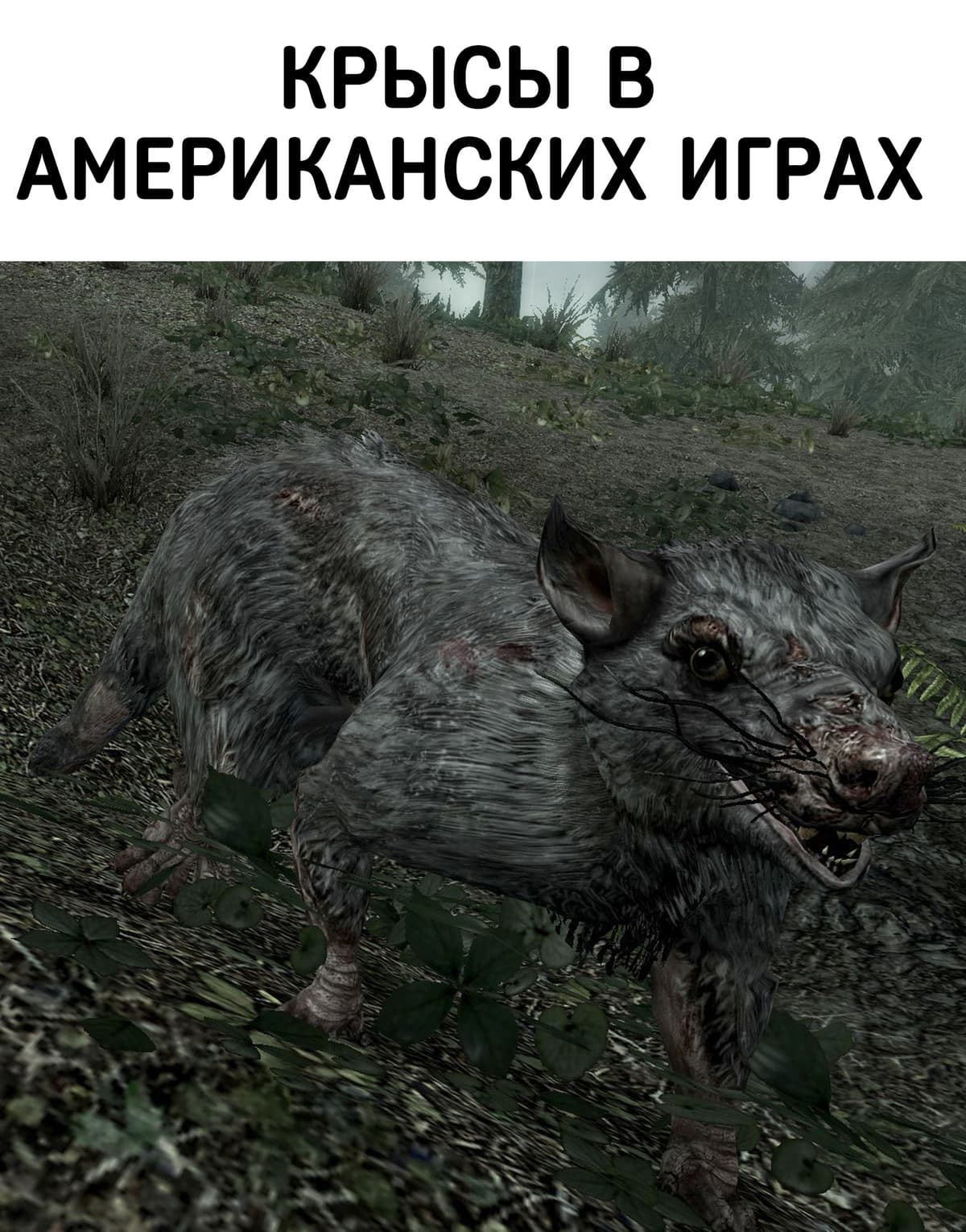 НовыйХолст57В.jpg