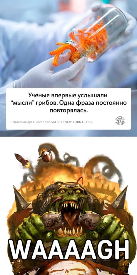 НовыйХолст31S.jpg