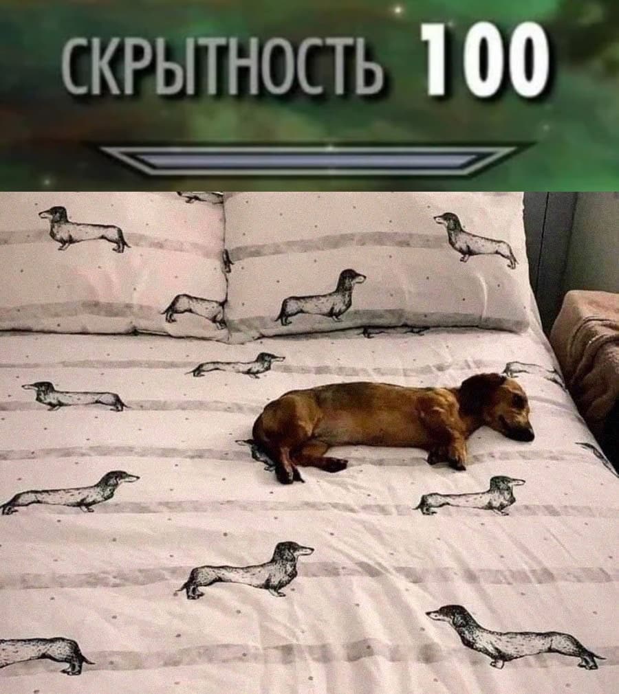 НовыйХолст62В1.jpg