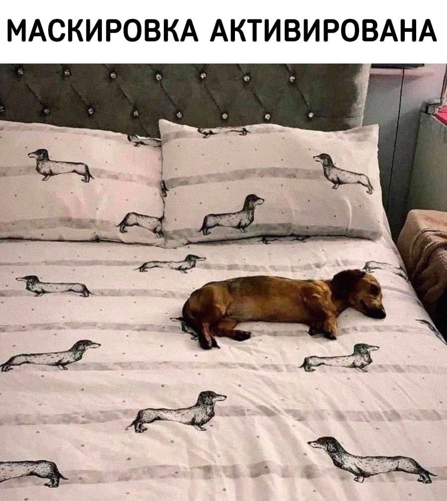 НовыйХолст62В.jpg
