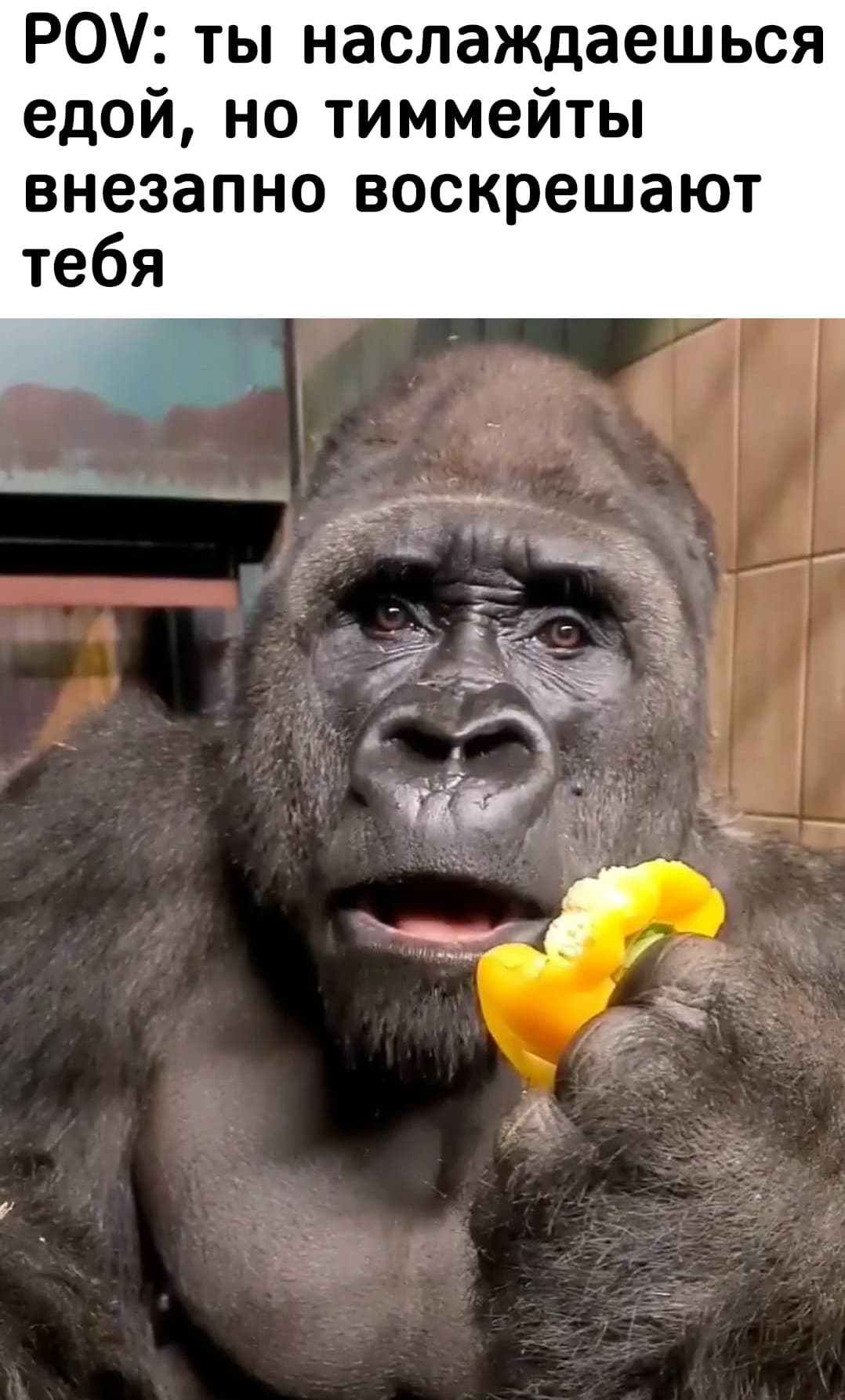 НовыйХолст27вы.jpg