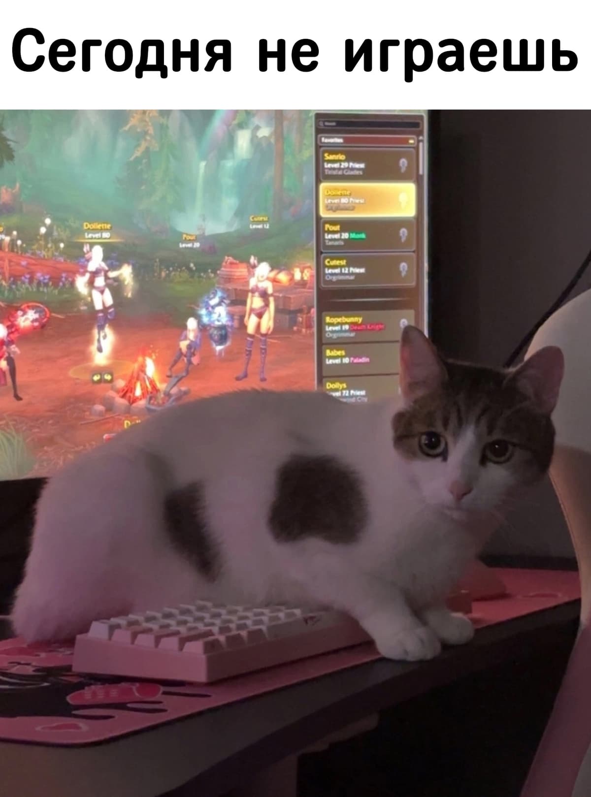 НовыйХолст24.jpg
