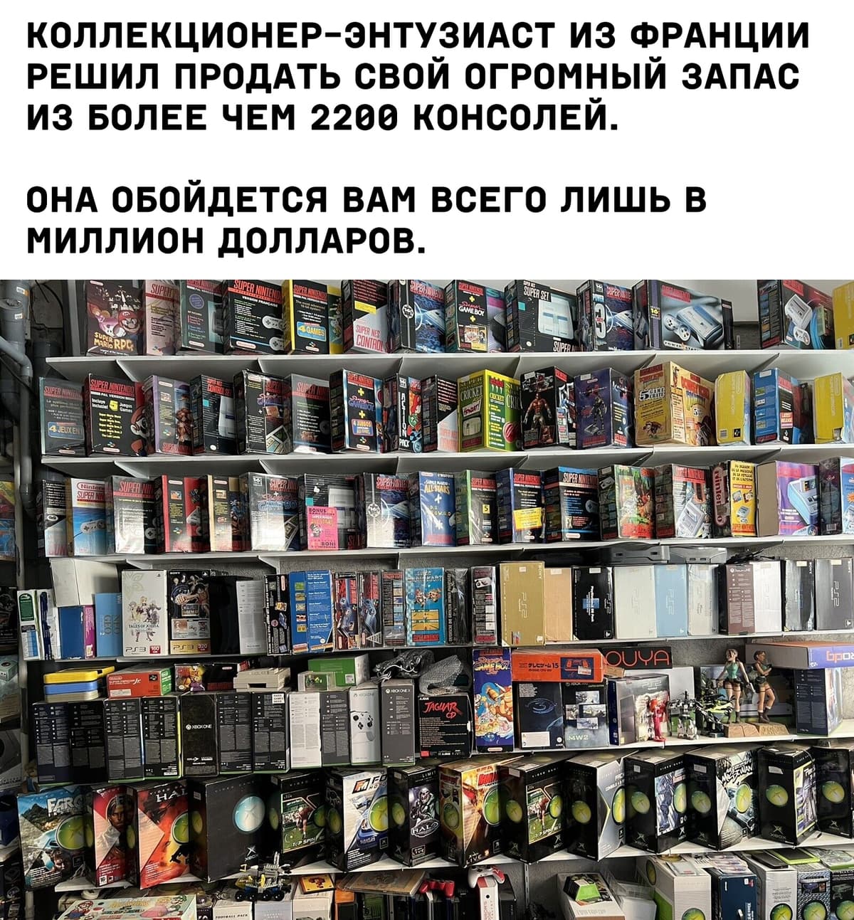 НовыйХолст29вв.jpg