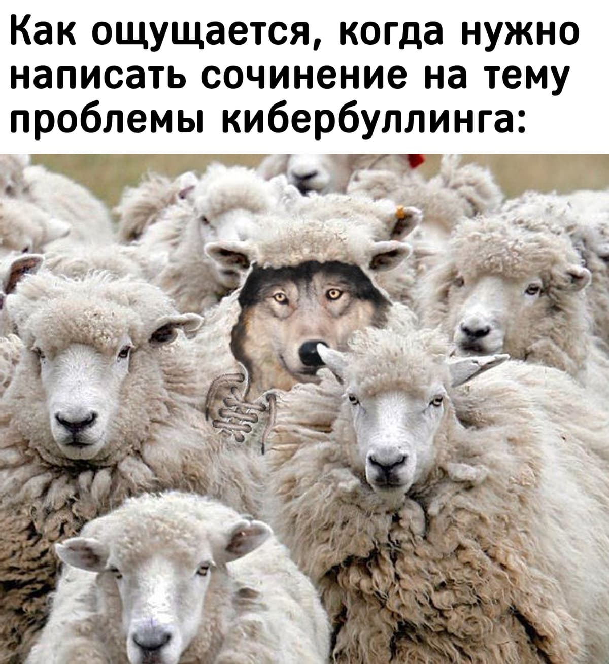 НовыйХолст5ВВ1.jpg