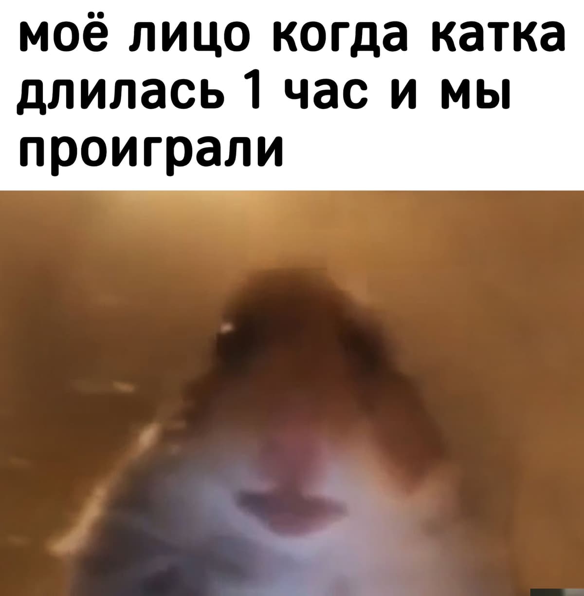 НовыйХолст50в11.jpg