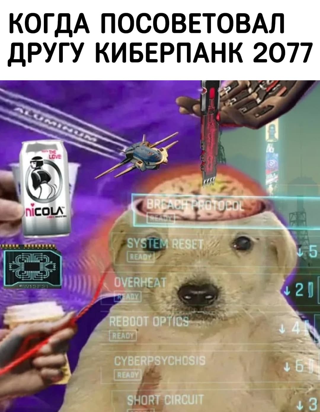 НовыйХолст70В.jpg