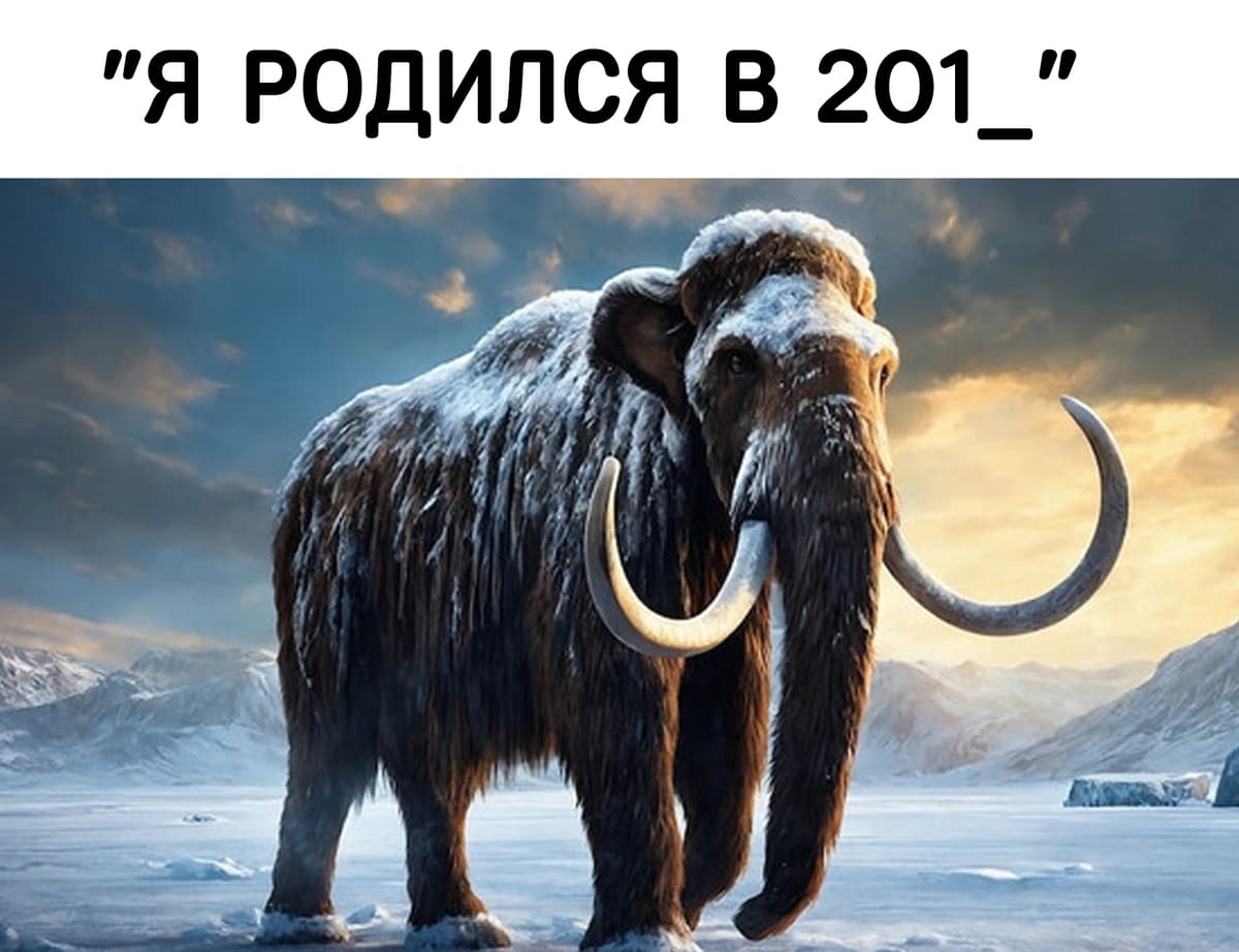 НовыйХолст50А1.jpg