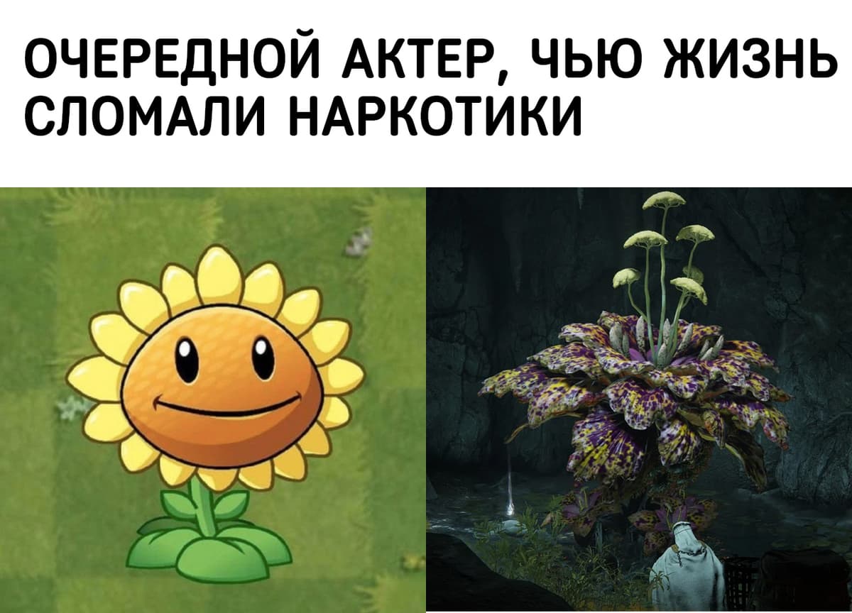 НовыйХолст39А.jpg