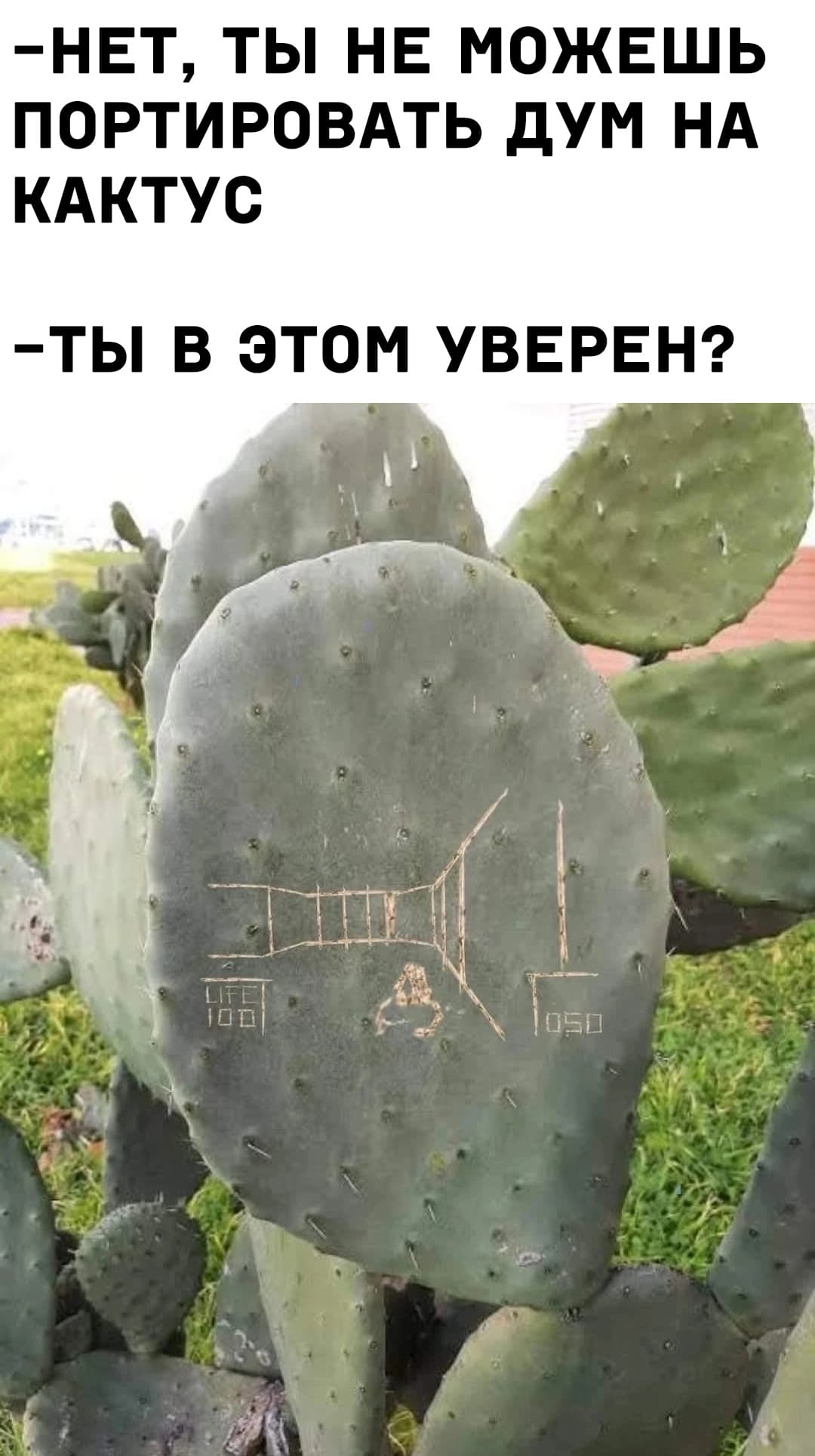НовыйХолст2чч.jpg