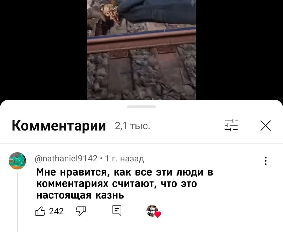 НовыйХолст12В11.jpg