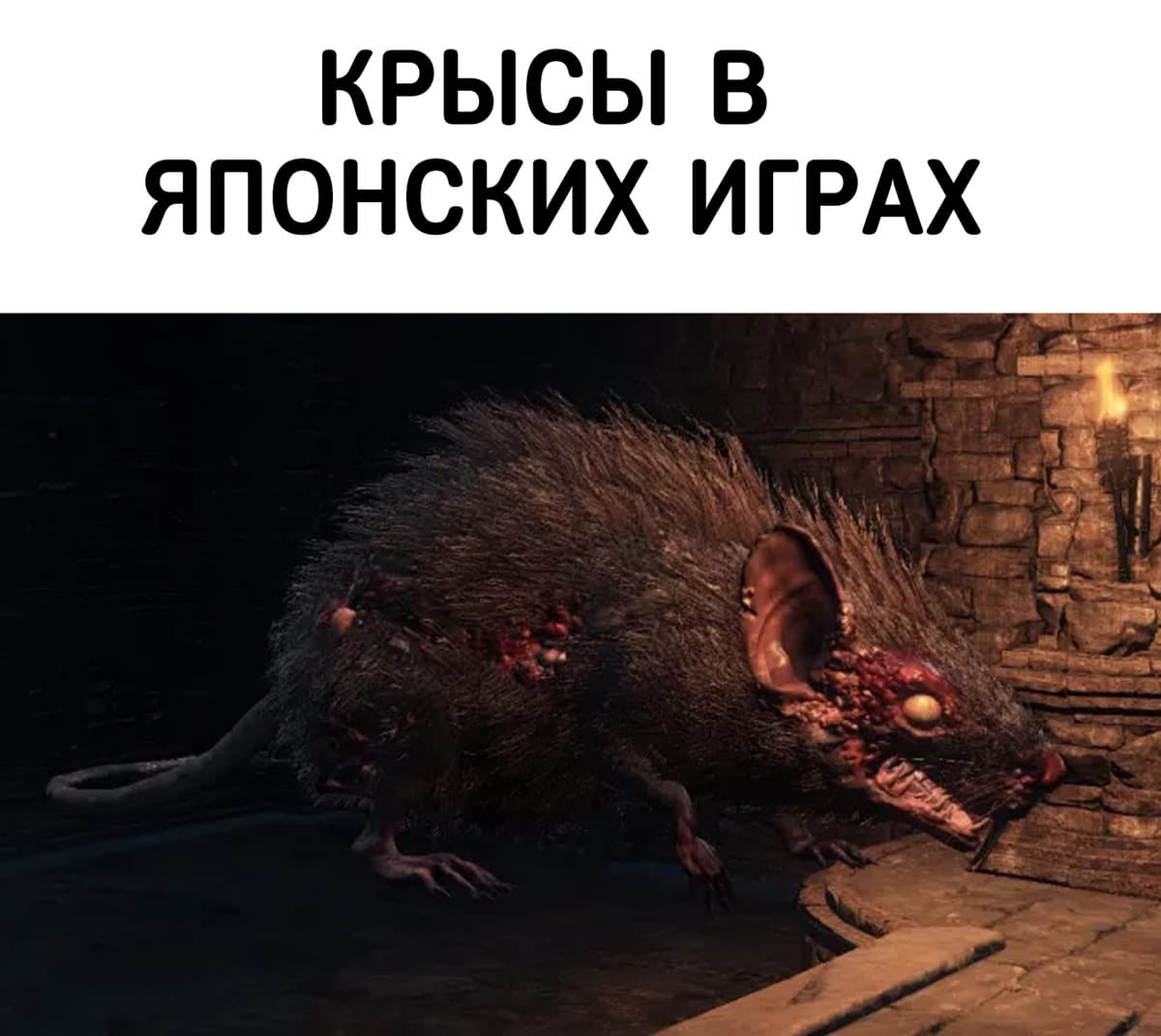 НовыйХолст57В1.jpg