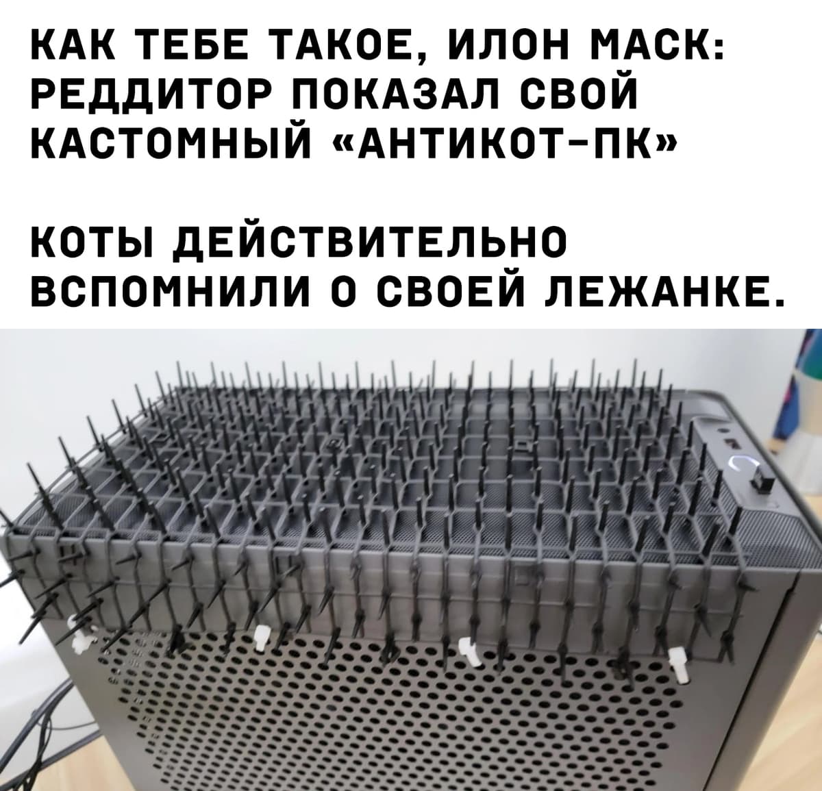 НовыйХолст23р.jpg