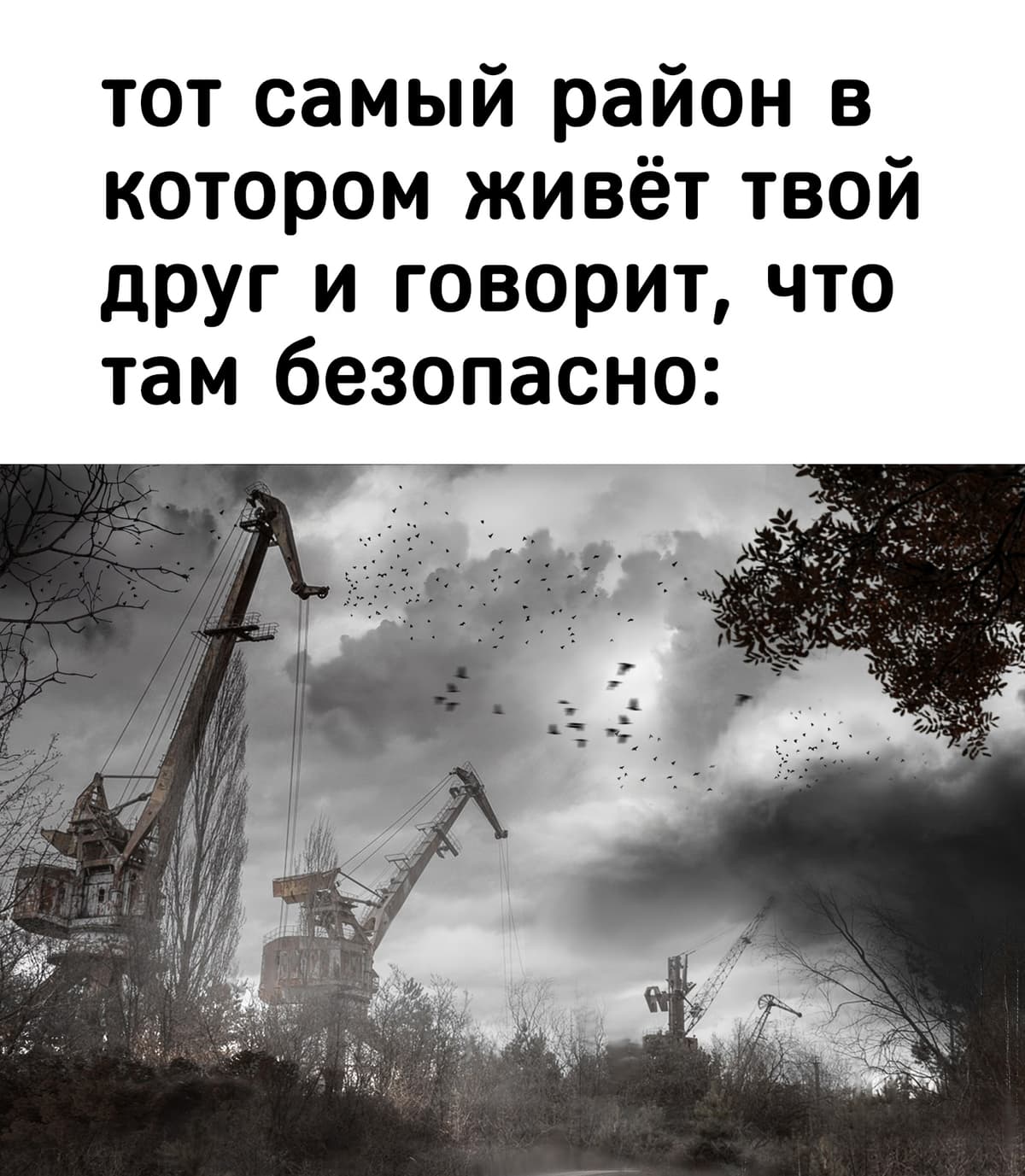 НовыйХолст37В.jpg