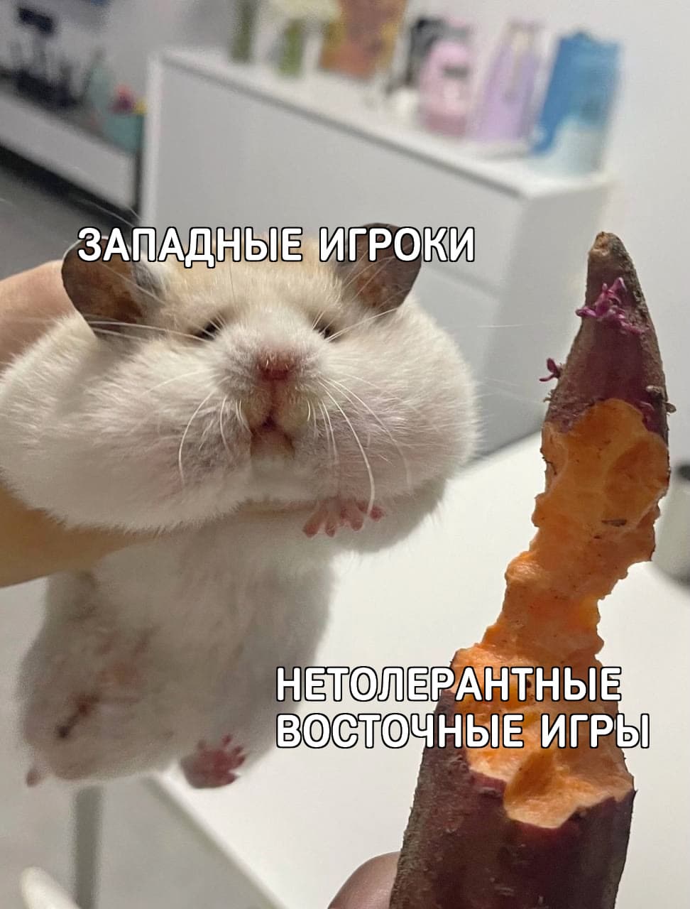 НовыйХолст15В.jpg