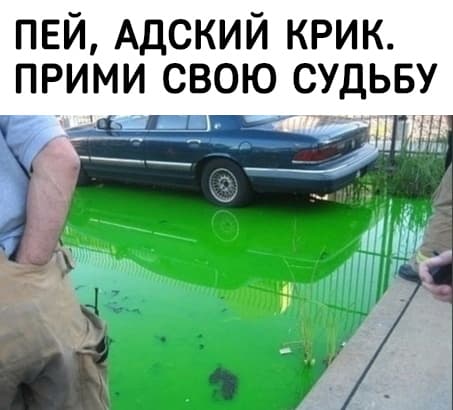 НовыйХолст11В.jpg