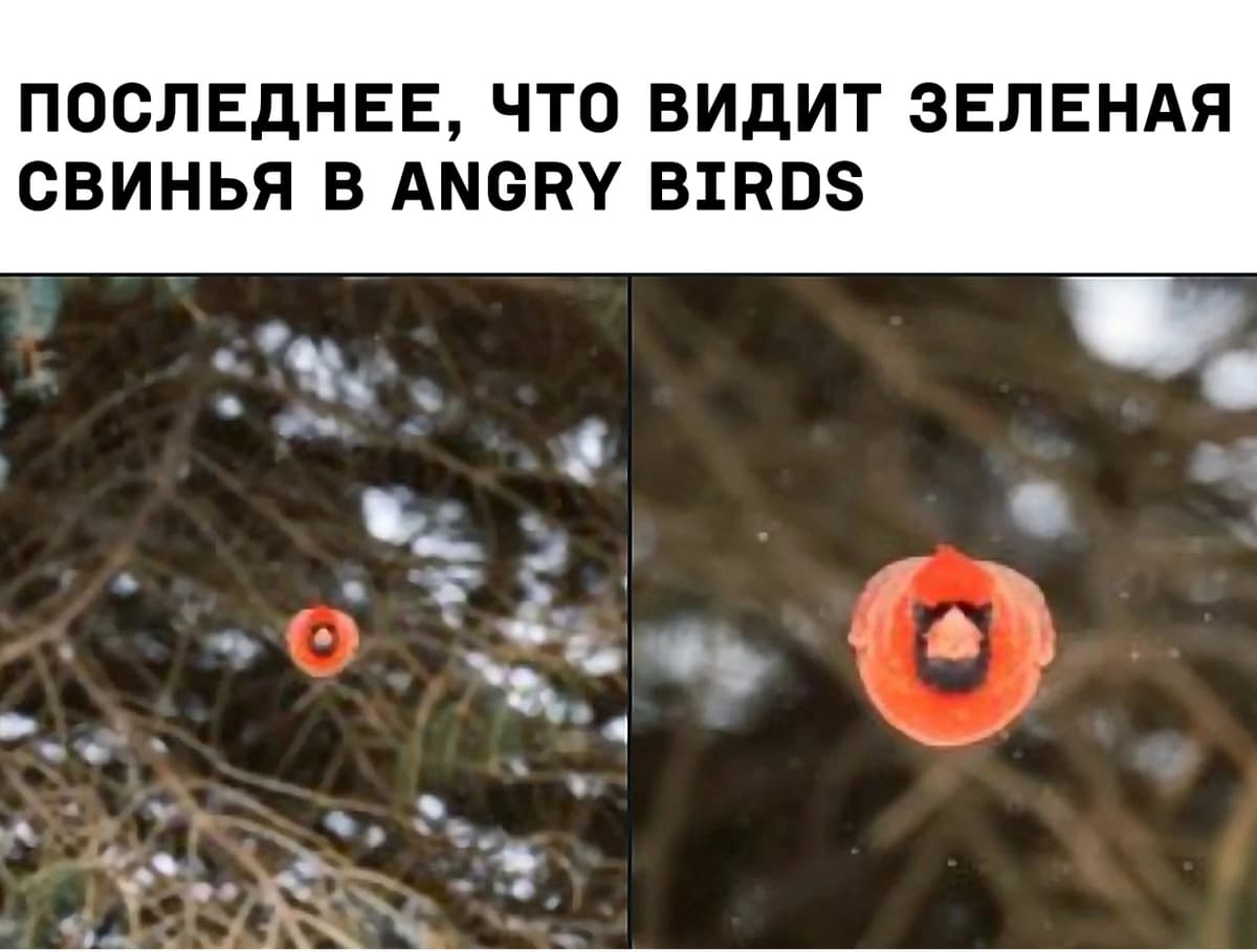 НовыйХолст35dd.jpg