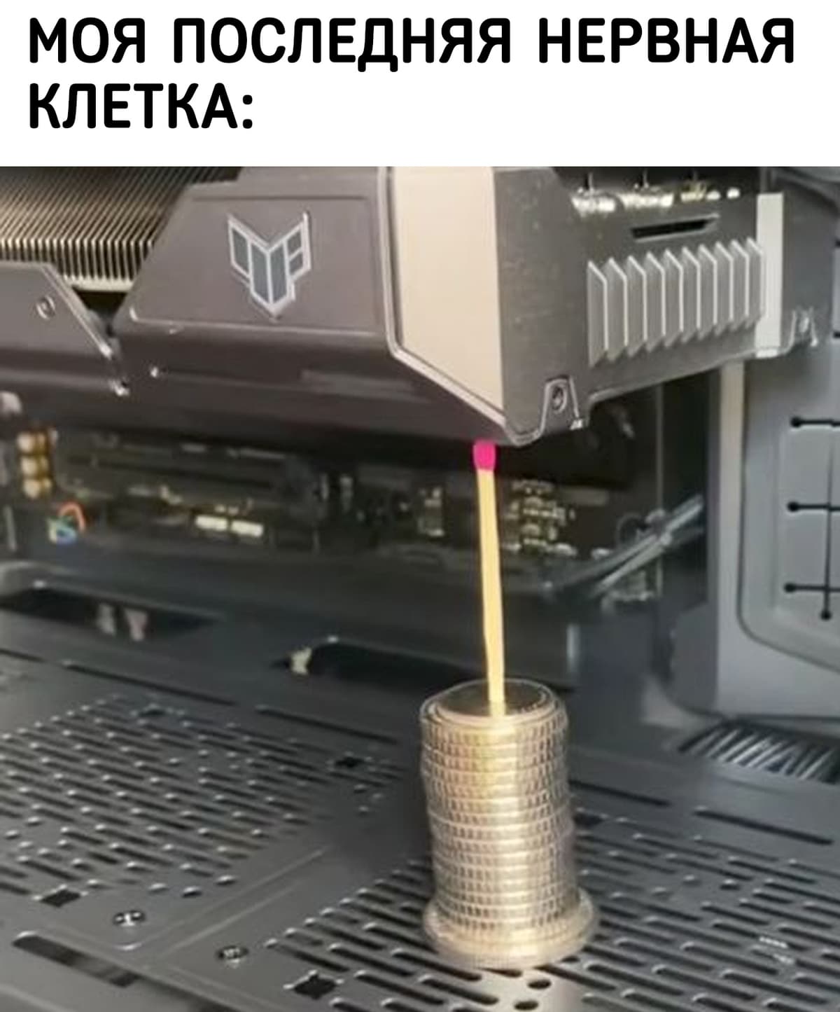 НовыйХолст36АП.jpg