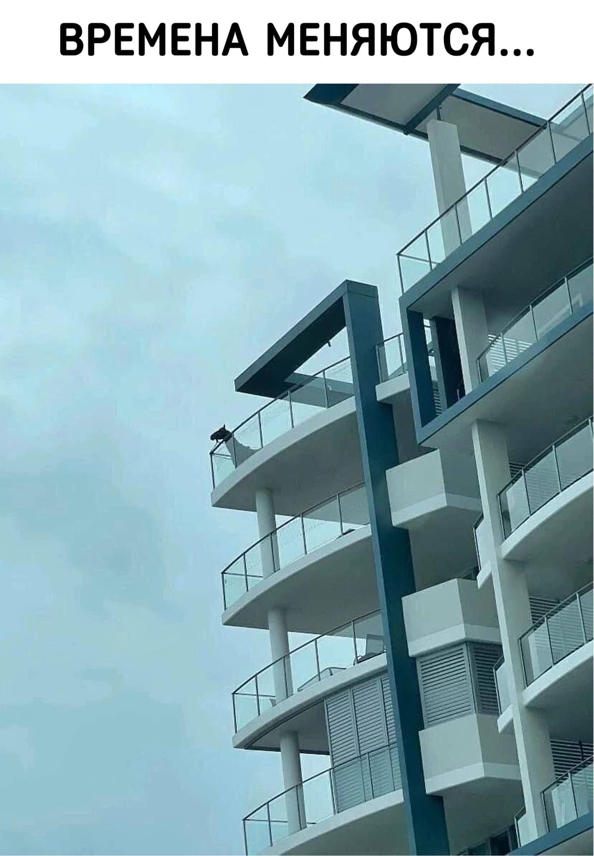 НовыйХолст54В.jpg