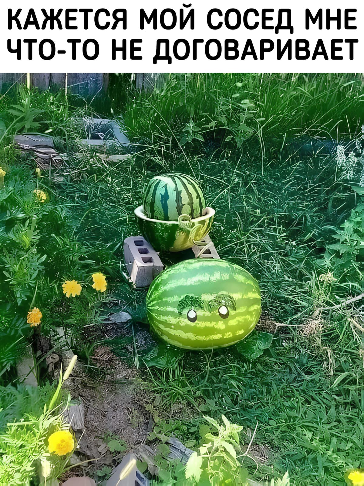 НовыйХолст71ввыВ.jpg