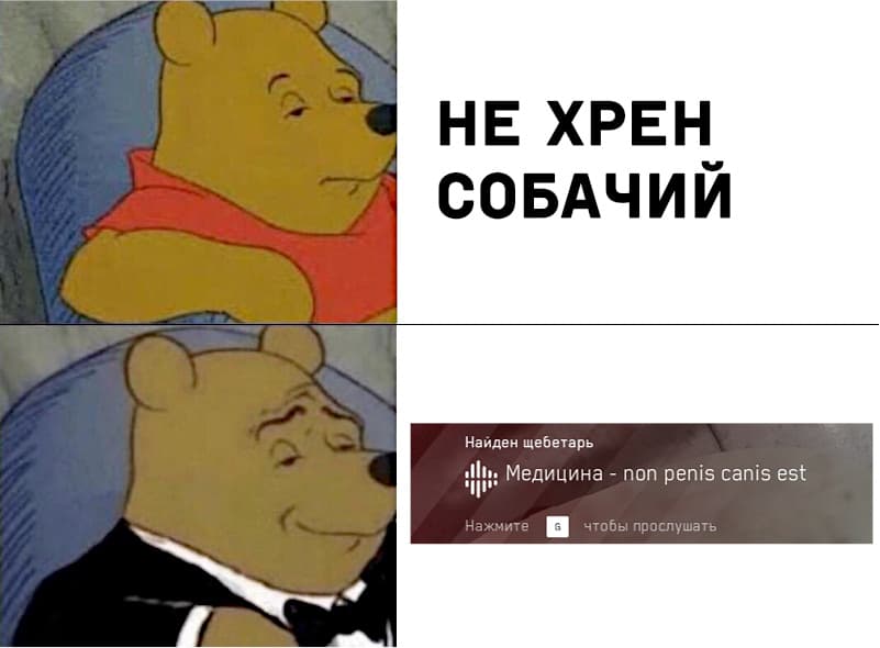 НовыйХолст3рр.jpg