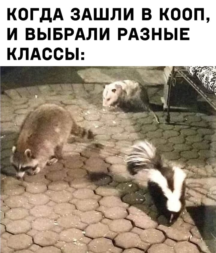 НовыйХолст4ии.jpg
