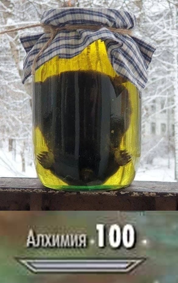 НовыйХолст30.jpg