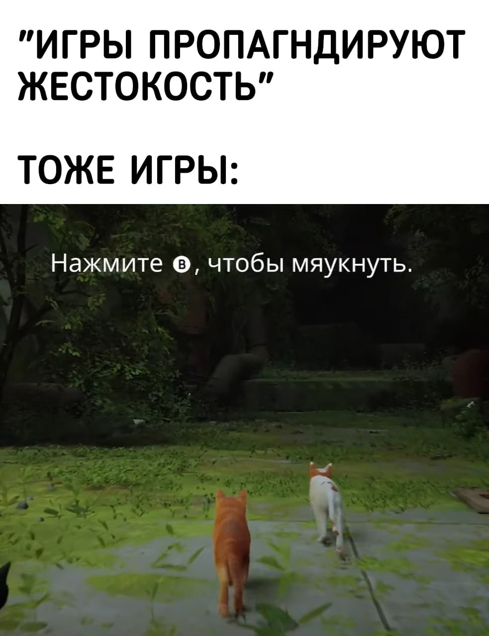 НовыйХолст14ВЫ.jpg