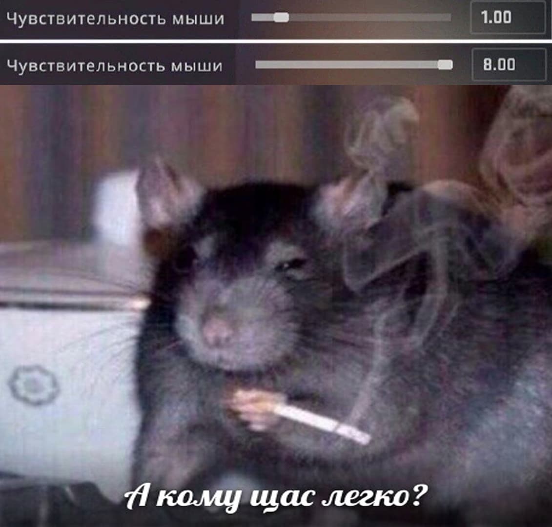 НовыйХолст10.jpg