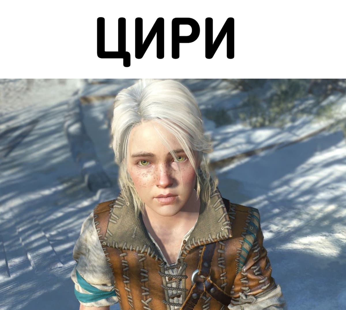 НовыйХолст20В.jpg