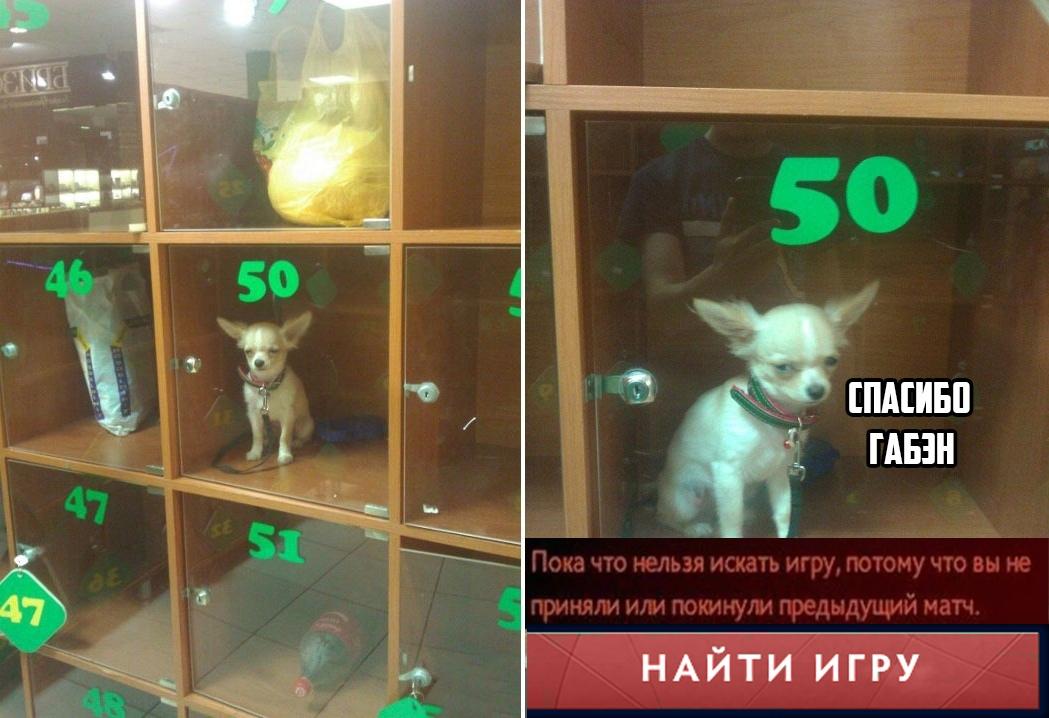 17.jpg