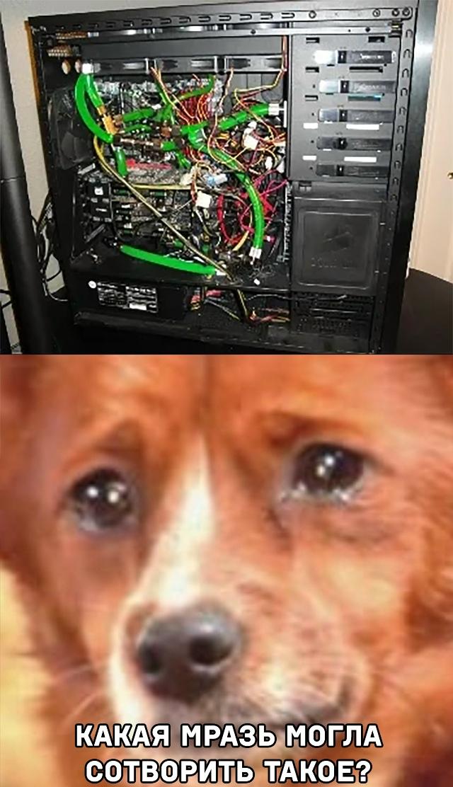24.jpg