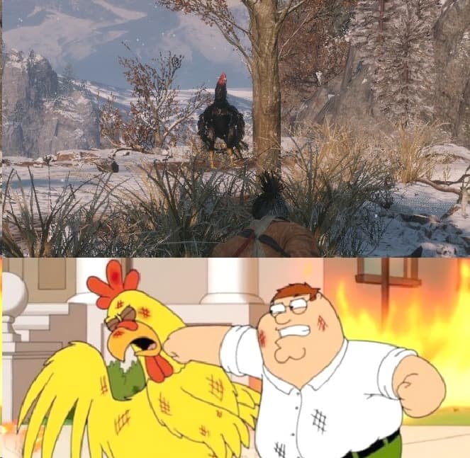 26.jpg