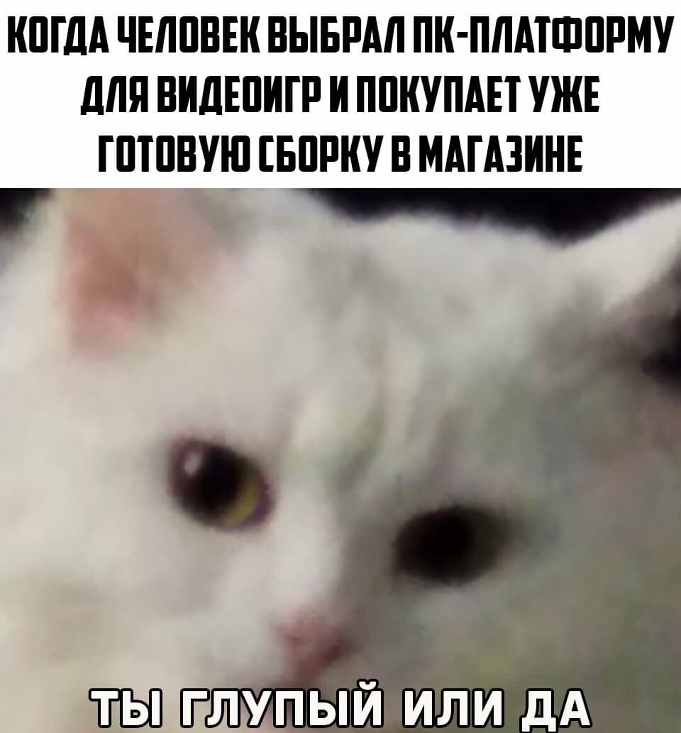 31'.jpg