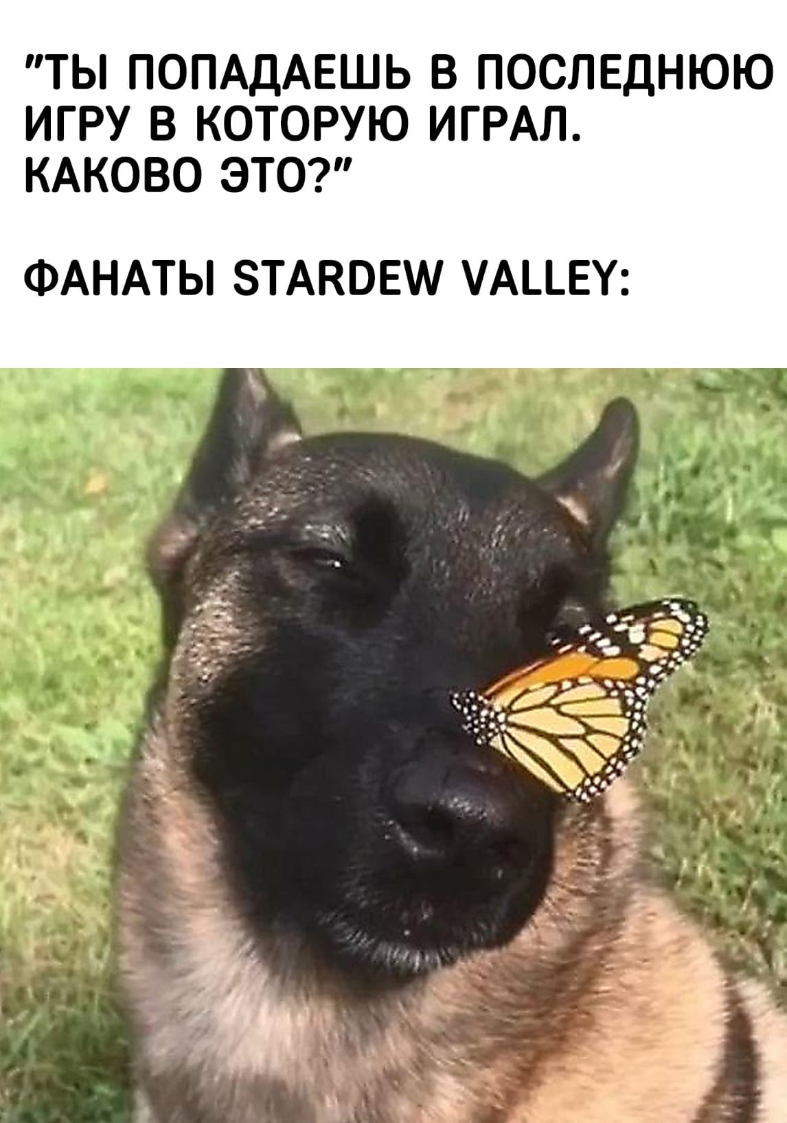 НовыйХолст10DS.jpg