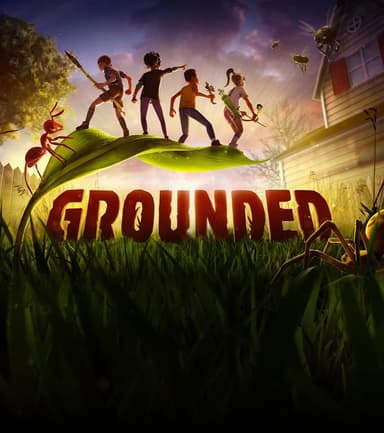 Купить Grounded - изображение