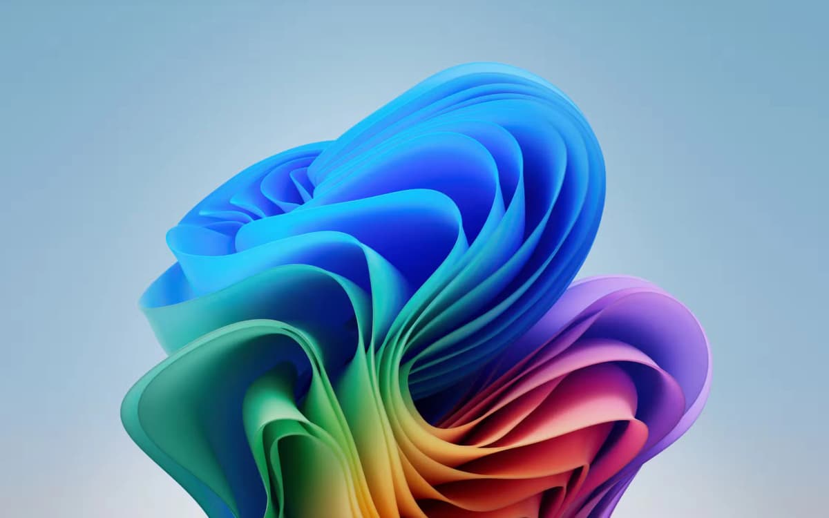 new-bloom-light.webp