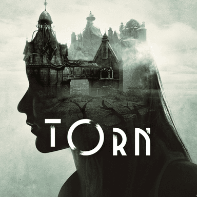 Купить Torn - изображение