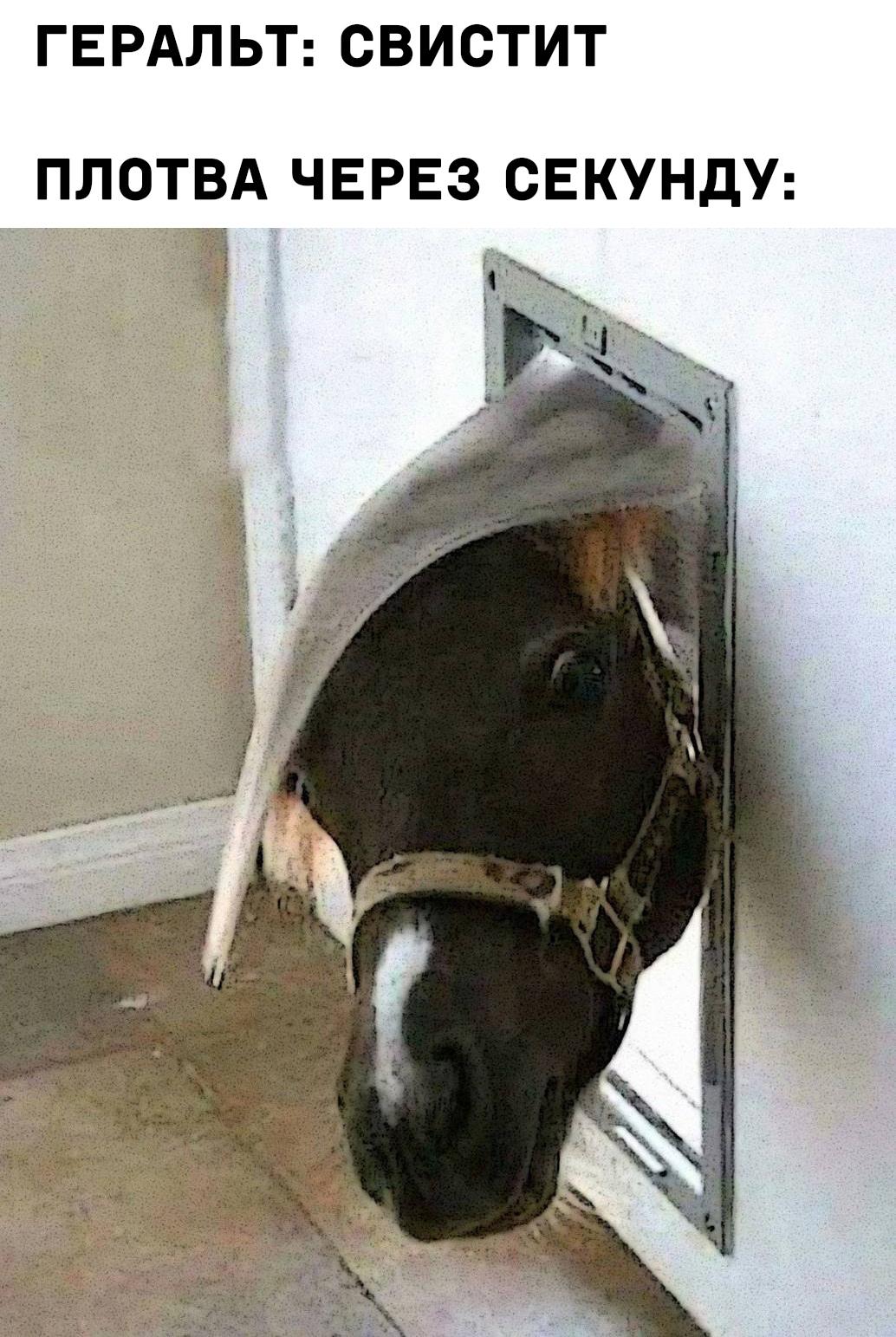 НовыйХолст20в.jpg