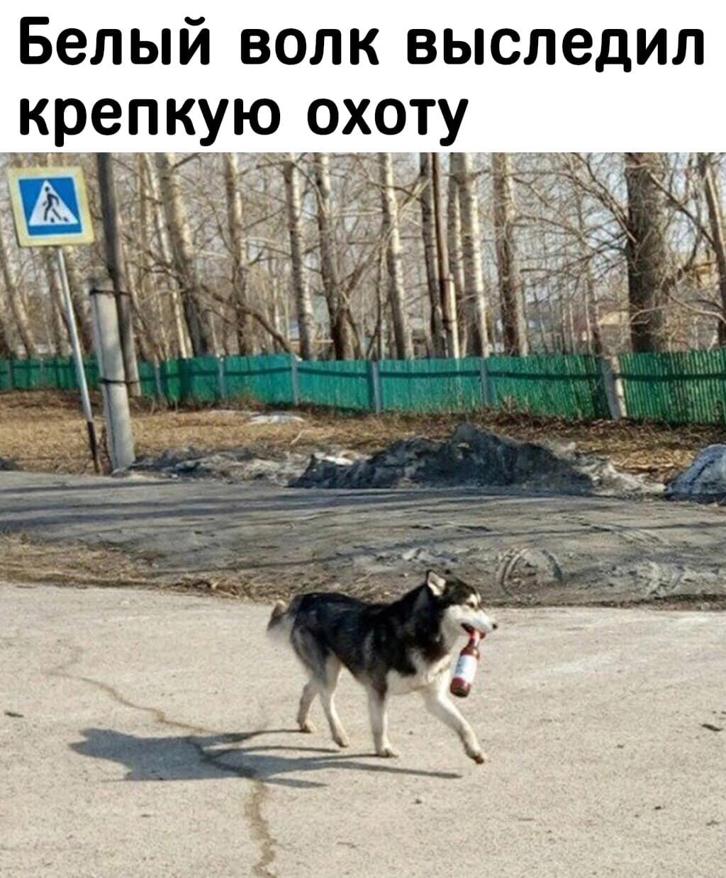 НовыйХолст29ыв.jpg