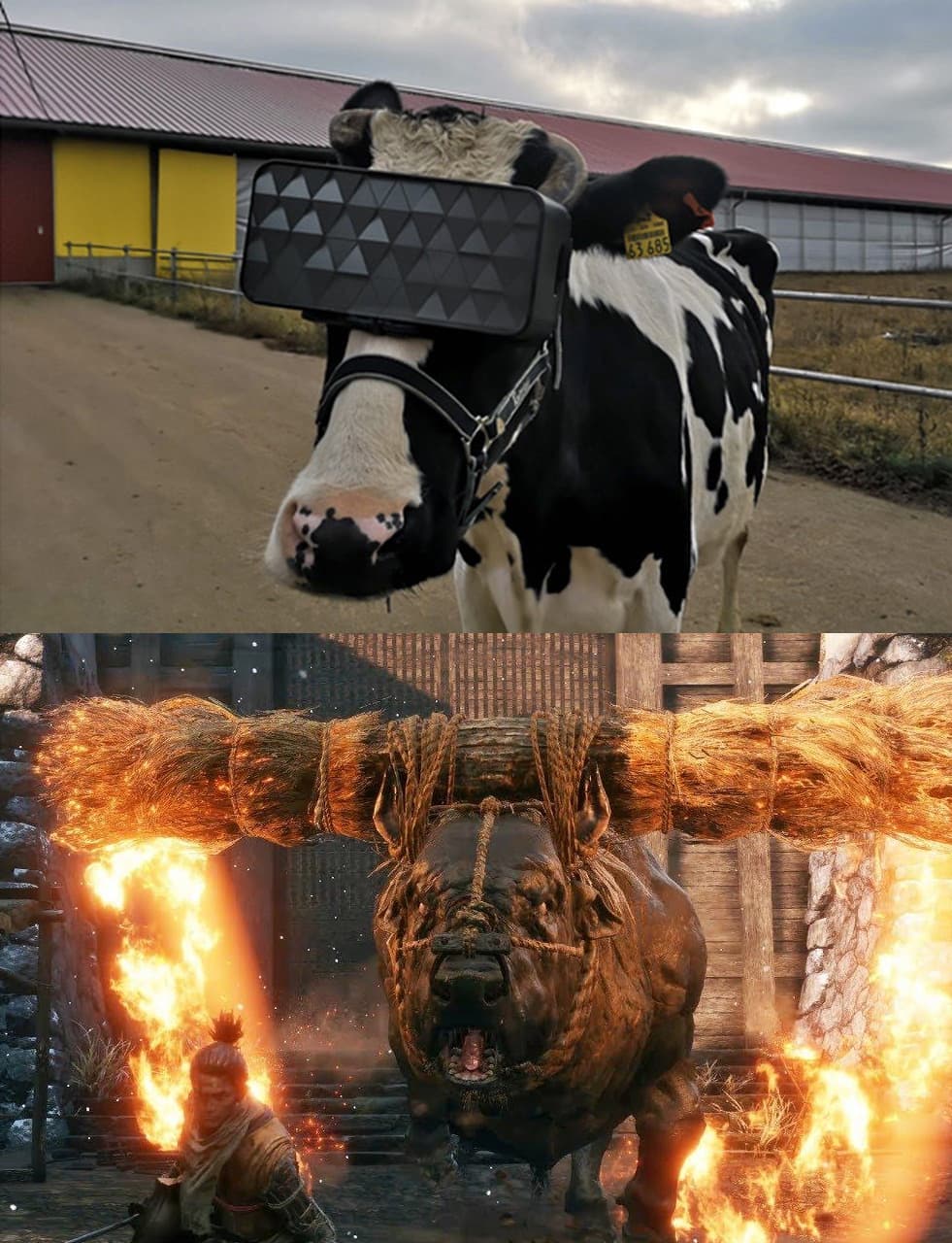 НовыйХолст2В1.jpg
