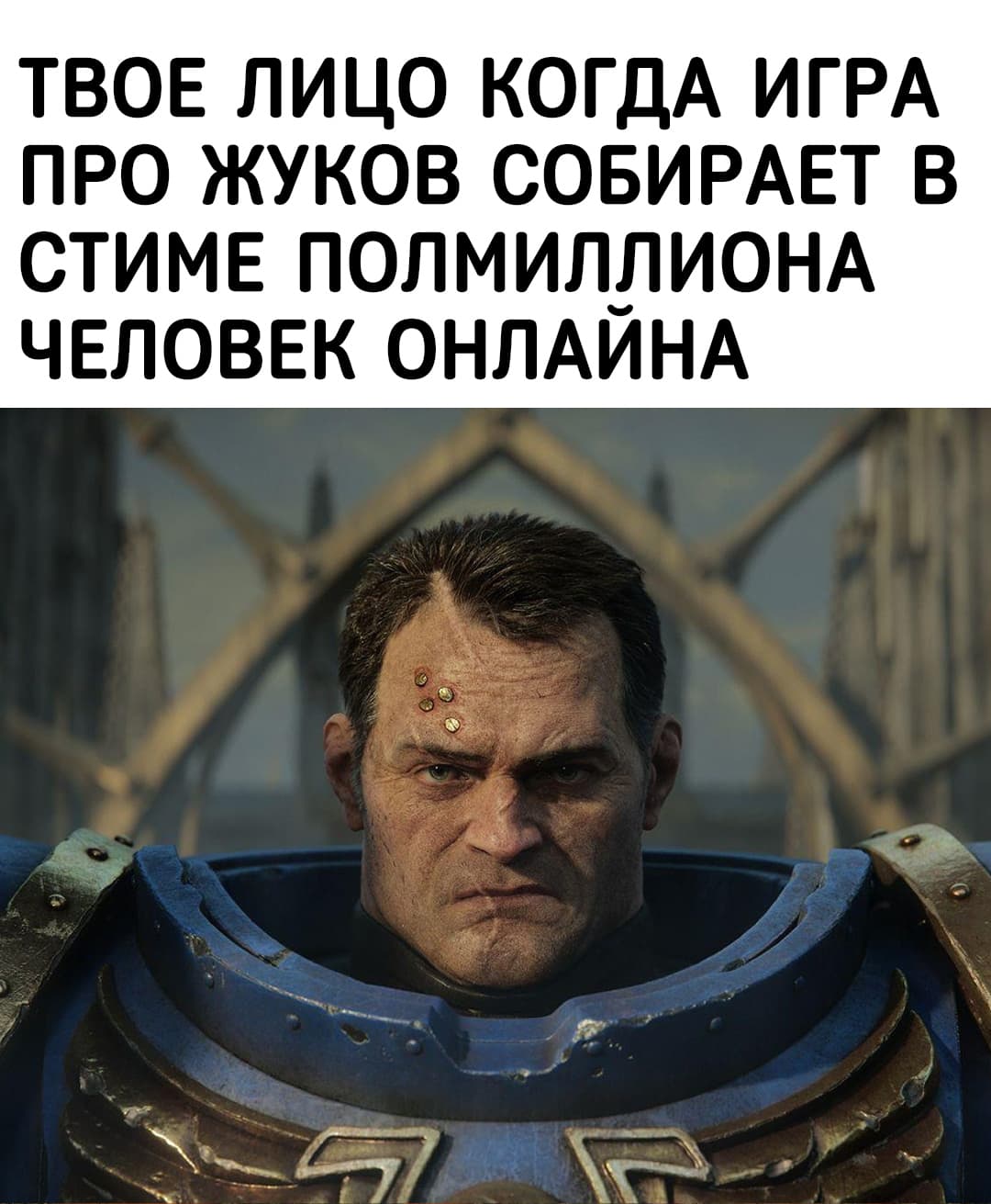 1В.jpg