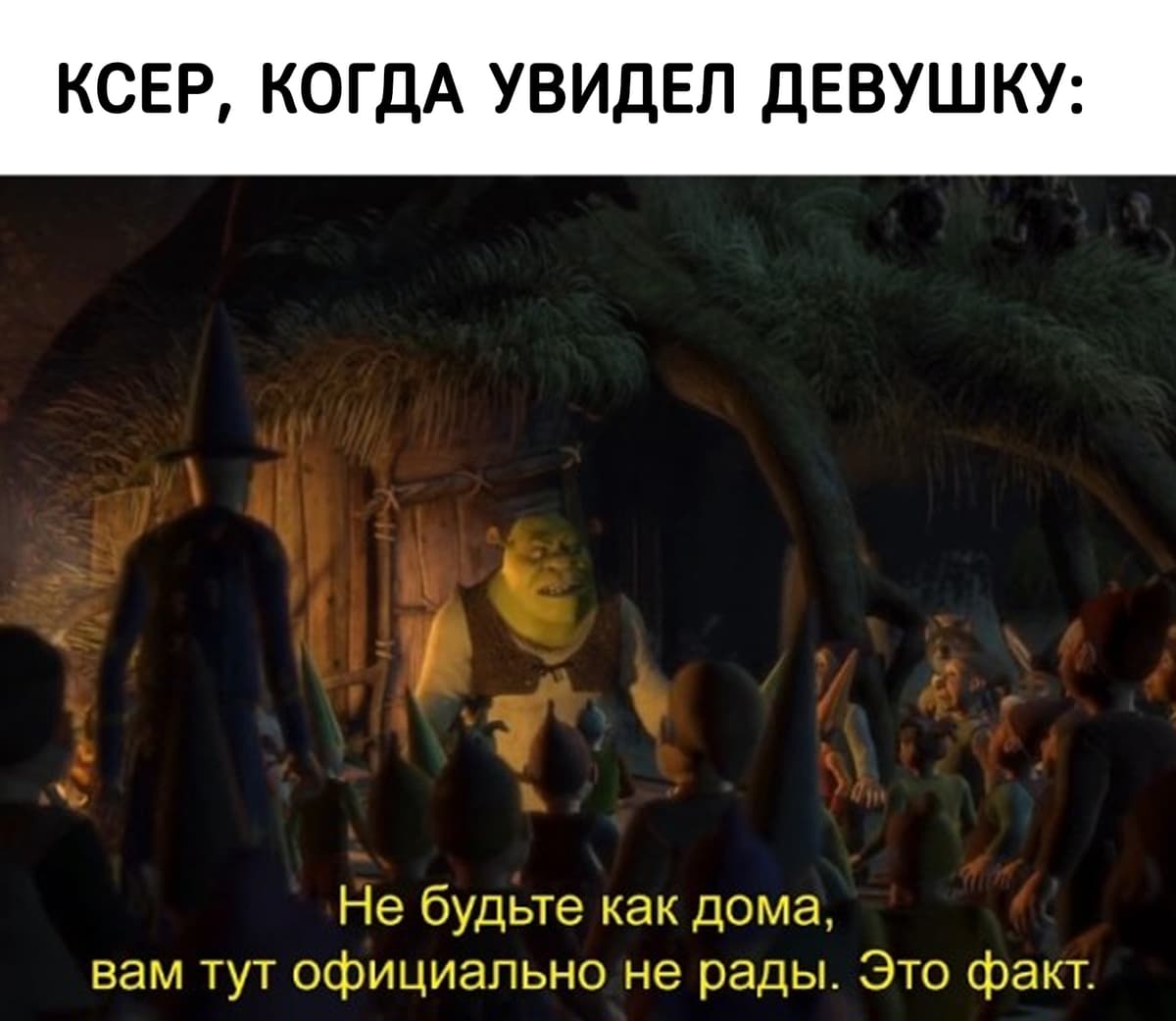 НовыйХоВЫФлст58.jpg