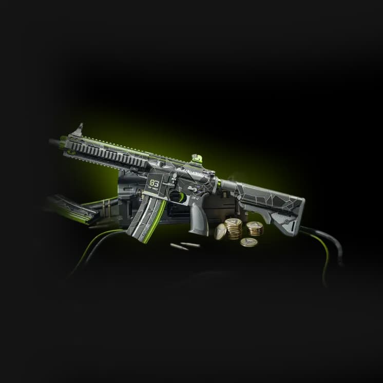 Silent Sentinel Supplies image